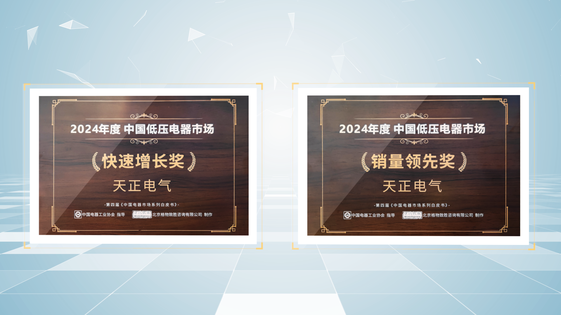 销量领先、快速增长丨凯发k8官方网站登录荣膺2项行业年度大奖